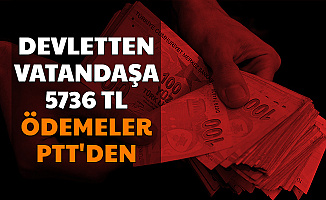 Devletten Vatandaşlara 24 Ay Boyunca Toplam 5736 TL: Ödemeler PTT'den (Mama ve Bez Desteği 2020)