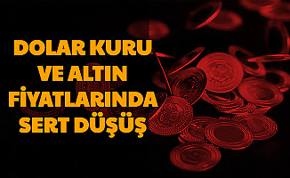 Dolar Kuru ve Altın Fiyatlarında Sert Düşüş (Neden Düşüyor?)
