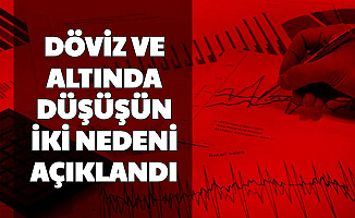 Dolar ve Altın Neden Düşüyor? Düşüşün İki Nedeni Açıklandı