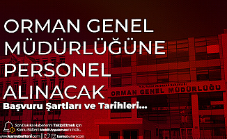 Orman Genel Müdürlüğü'ne KPSS ile Sözleşmeli Kamu Personeli Alımı için Başvurular 1 Haziran'da Başlayacak