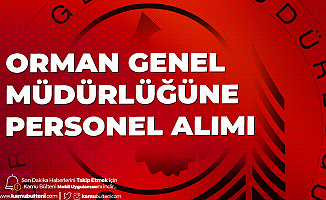 Orman Genel Müdürlüğü'ne Sözleşmeli Personel Alımı Başvuruları 1 Haziran'da Başlayacak