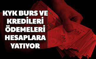 Kyk Burs