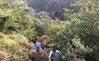 Karabük Yenice'den Son Dakika Haberi: Otomobil 200 Metre Uçurumdan Düştü