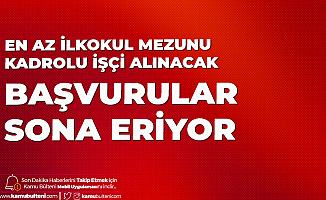 Isci Alimlari