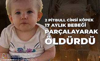 17 Aylık Bebek Pitbull Saldırısında Feci Şekilde Can Verdi
