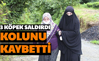 Köpeklerin Saldırdığı Kadının Kolu Kesildi