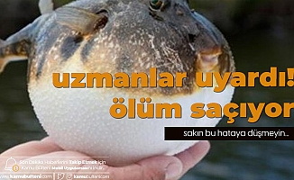 Yediği Balon Balığı Yüzünden Hayatını Kaybetti