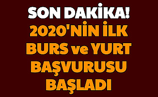 Burs