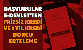 Başvurular E-Devlet'ten: Faizsiz Kredi ve 1 Yıla Kadar Kredi Erteleme Duyurusu Geldi 2020