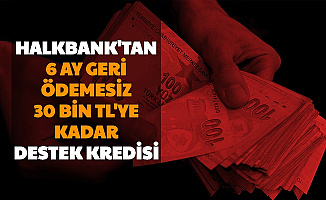 Halkbank'tan 6 Ay Geri Ödemesiz Destek Kredisi-İşte Başvuru