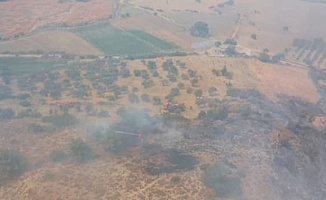 Hatay İskenderun'da Orman Yangını Çıktı: Çok Sayıda Ekip Bölgeye Sevk Edildi