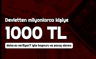 Pandemi 1000 TL Destek Ödemesi Bir Daha mı Verilecek? İşte Başvuru ve Sonuç Sayfası