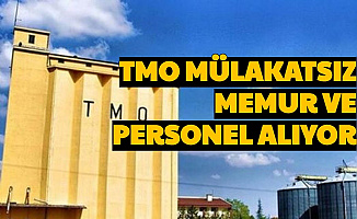 TMO Mülakatsız Kamu Personeli Alımı Yapıyor