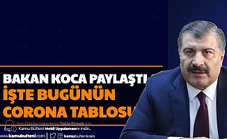 Bakan Koca Açıkladı: İşte Türkiye Koronavirüs Tablosu Vaka Sayısı