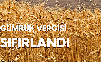 Buğday, Arpa ve Mısırda Gümrük Vergisi Sıfırlandı