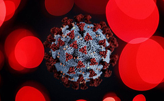 İşte 10 Ekim Türkiye Koronavirüs Tablosu Vaka Sayısı