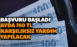 Tev Bursu