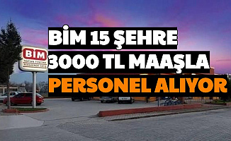 Bim 15 Şehre 3000 TL Maaşla Personel Alımı Yapıyor: İşte İş Başvuru Formu 2020