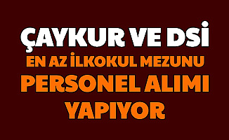 Çaykur ve DSİ'ye KPSS'siz Personel Alımı: Başvuru İŞKUR'da Başladı