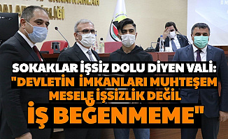 Diyarbakır Valisi: "Mesele İşsizlik Değil Mesleksizlik, İş Beğenmeme"