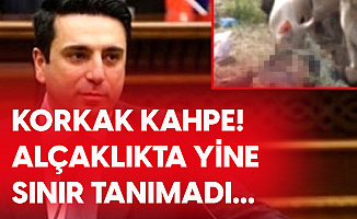 Ermeni Siyasetçiden Kahpece Paylaşım! Azerbaycan Şehitlerin Naaşını Domuzlara Yedirdiler