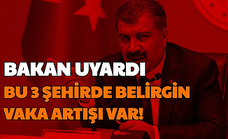 Fahrettin Koca Açıkladı: Bu 3 Şehirde Belirgin Vaka Artış Var