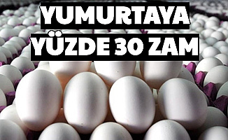 Yumurta Fiyatlarına Yüzde 30 Zam