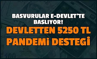 Başvurusu E Devlet'ten Başlıyor: Devletten 5250 Lira Pandemi Yardımı