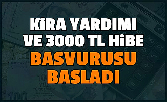 Kira Yardımı ve 3000 TL Pandemi Destek Başvuru Ekranı Açıldı (Esnaf Destek Paketi e Devlet Başvurusu)