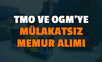4500 Lira Maaş: OGM ve TMO'ya En Az Ortaöğretim Mezunu Mülakatsız Memur Alımı