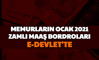 Memurların Ocak 2021 Zamlı Maaş E Bordrosu e Devlet'ten Yayımlandı