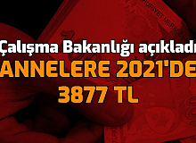 Çalışma Bakanlığı: Annelere 2021'de 3877 TL Nakit Destek