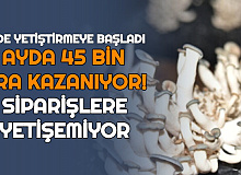 Televizyonda Görüp Evde Ekti: Ayda 45 Bin TL Kazanıyor