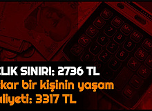 Açlık ve Yoksulluk Sınırı Açıklandı: Bekar Bir Kişinin Aylık Yaşam Maliyeti: 3317 TL