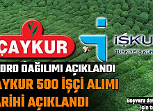 Çaykur 500 İşçi Alımı Kadro Dağılımı ve Başvuru Tarihi Açıklandı: Başvuru İŞKUR'dan