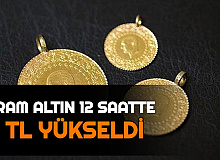 Dolar 20 Kuruş, Gram Altın 11 TL Yükseldi