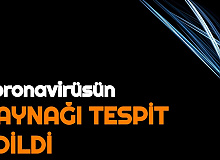 Laboratuvar mı Yarasa mı? Ve Koronavirüsün Nereden Nasıl Çıktığı Açıklandı