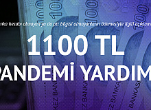 Bakan Duyurdu: 2 Milyon Haneye 1100 TL Yardım