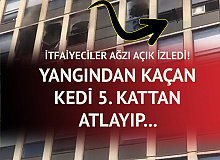 İtfaiye Ağzı Açık İzledi! Yangından Kaçan Kedi, 5 Kattan Atladıktan Sonra Yoluna Devam Etti...