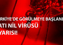 Batı Nil Virüsü Konusunda Uzmanlardan Uyarı Geldi! Kesinlikle Temas Etmeyin