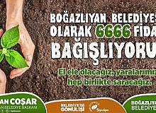 Belediyeden fidan bağışı