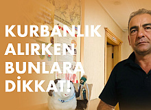 Kurbanlık Alırken Bunlara Dikkat!