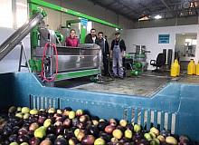 Balıkesir Üniversitesi’nde 2021-2022 sezonu zeytinyağı ve zeytin ürünlerinin üretimine başlandı