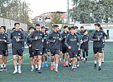 Genç horozlar seri peşinde