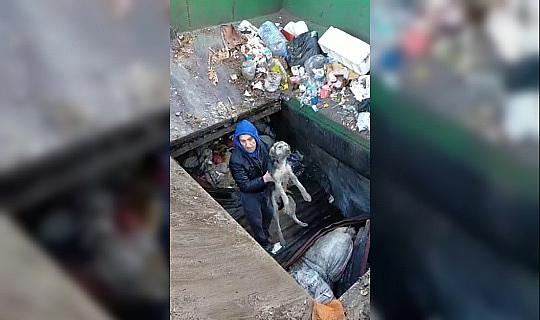Çöp ayrıştırma makinesine düşen köpek kurtarıldı