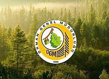 Orman Genel Müdürlüğü Personel Başvuruları Başladı. Engelli ve Eski Hükümlü