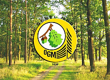Orman Genel Müdürlüğünden Çok Sayıda Daimi İşçi Alımı. Engelli ve Eski Hükümlü