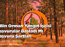 5 Bin Orman Yangın İşçisi Başvurular Başladı Mı Başvuru Şartları