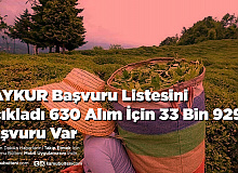 ÇAYKUR Başvuru Listesini Açıkladı 630 Alım İçin 33 Bin 929 Başvuru Var