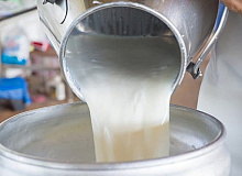 Çiğ Süte Zam Geldi Sırada Süt Ürünleri Var